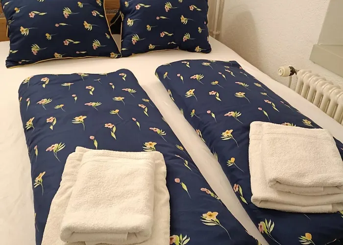 아파트 Jolie 인터라켄